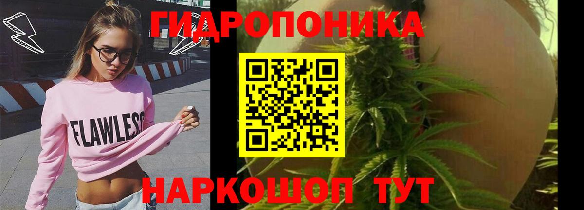 Шишки марихуана гибрид  Бошки марихуана сатива  Вход с VPN  Туймазы  Каннабис семена 